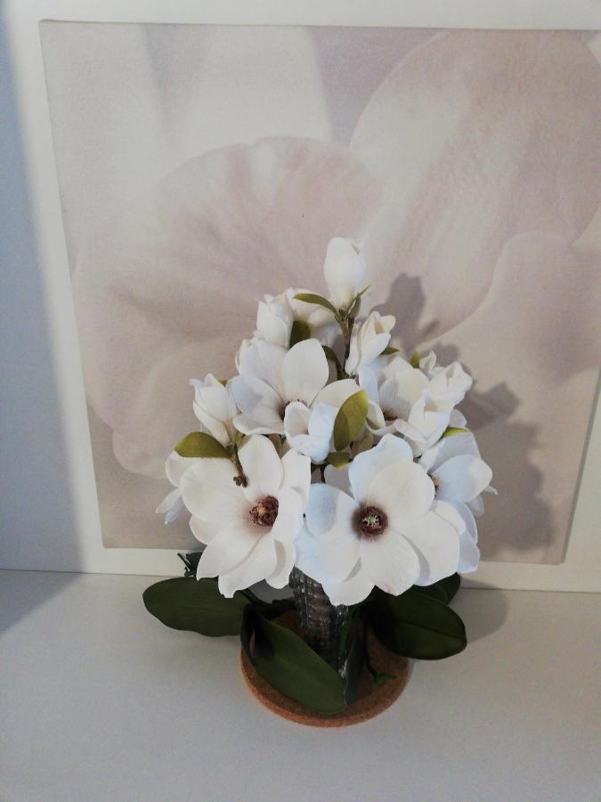 B&B Le Magnolie Gallarate Bagian luar foto