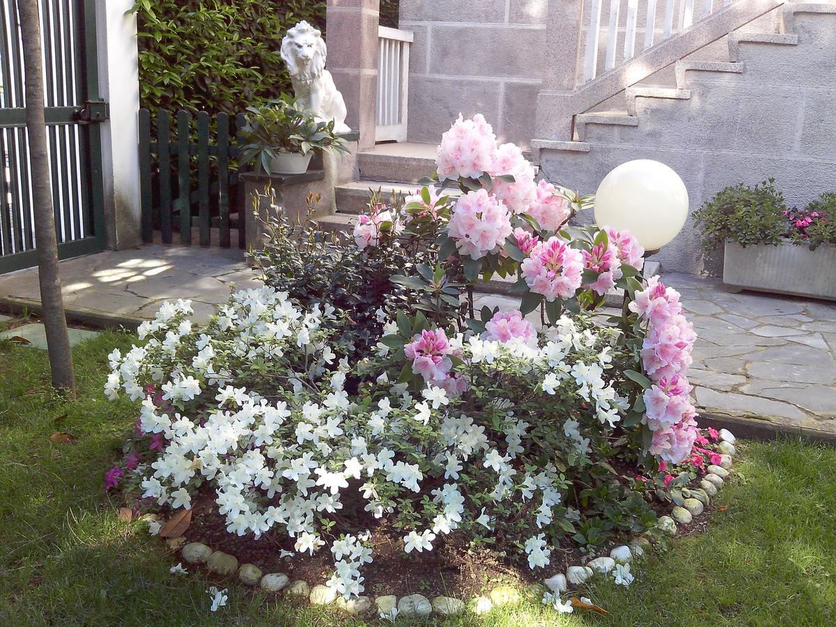 B&B Le Magnolie Gallarate Bagian luar foto